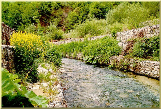 Example of vegetated gabion channel