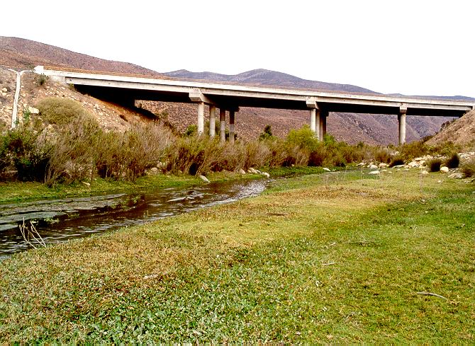 Upstream end of Arroyo Alamar rehabilitation project, at Puente Caon del Padre