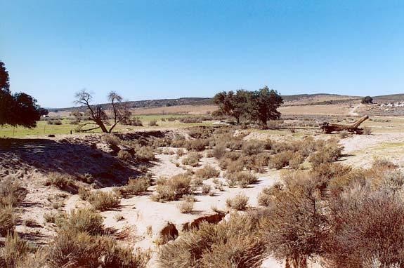 Downstream view of Campo Creek subbasin.