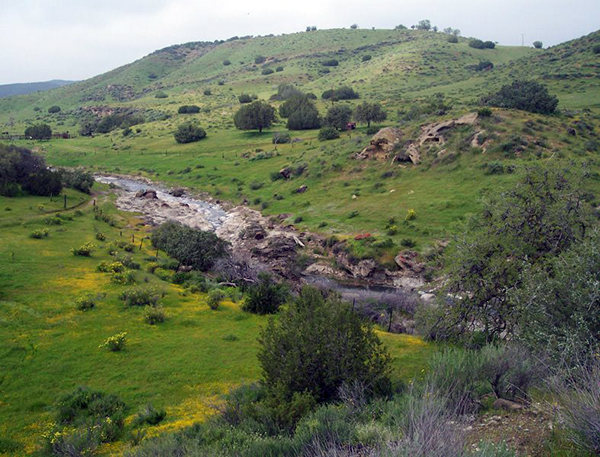 Los Gatos Creek upstream.