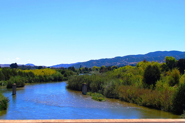 Salinas river at San Ardo.