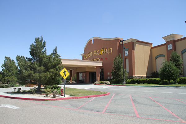The Golden Acorn Casino