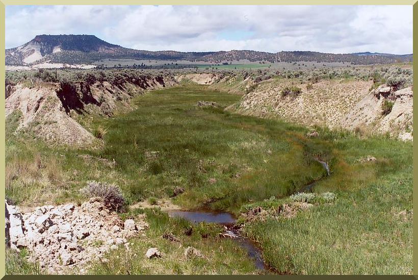 El arroyo Camp, cerca de Prineville, Oregon, formado a fines del siglo XIX debido al sobrepastoreo de la llanura suprayacente. 