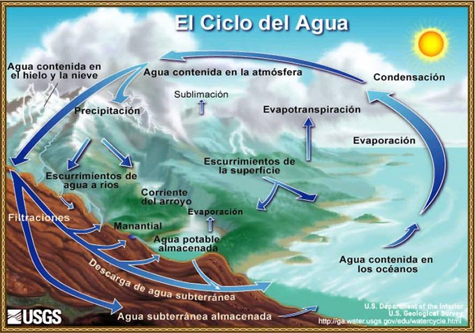 The water cycle.