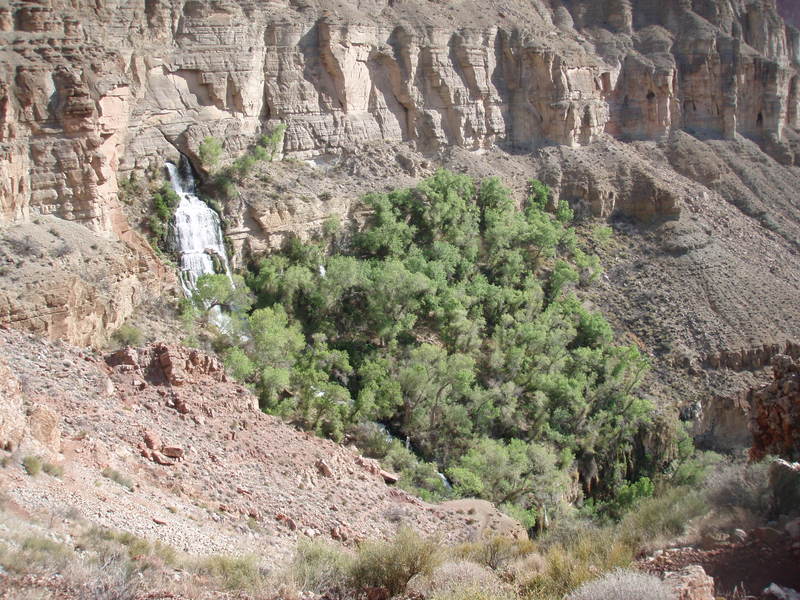 Photo showing Tapeats Creek, Arizona, coming directly out of the canyon wall, into the Colorado river (070411). 