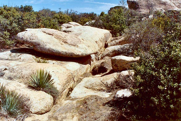 Fracture in rock outcrop in Tierra del Sol watershed