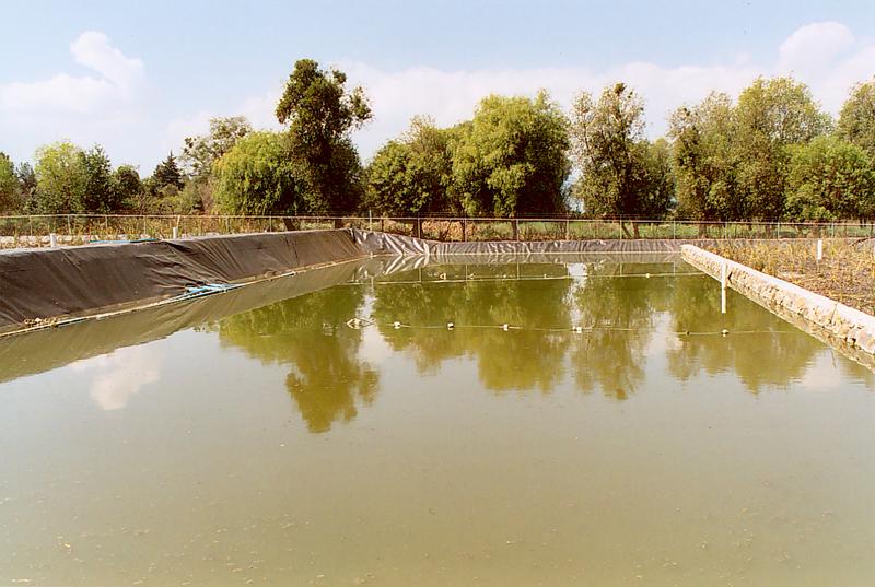 Laguna de maduracin