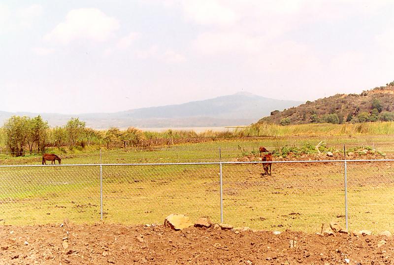 Vista del Lago de Ptzcuaro, aguas abajo del humedal construdo