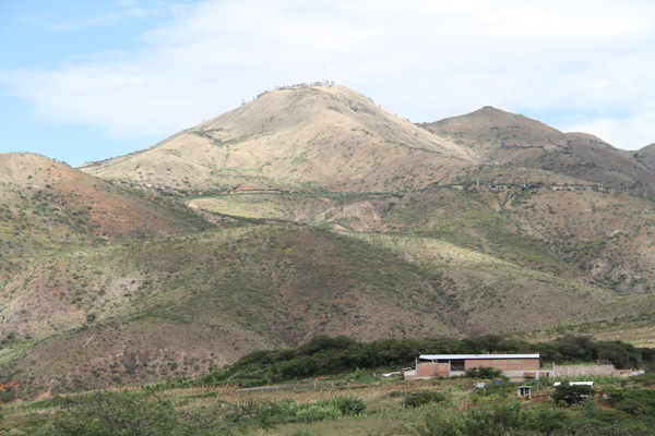 Vegetative communities in the vicinity of Catamayo, Loja province.