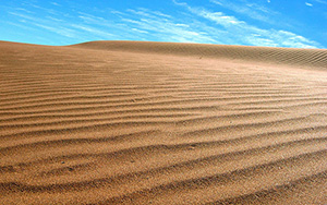 The driest spot on Earth:  Atacama desert, northern Chile