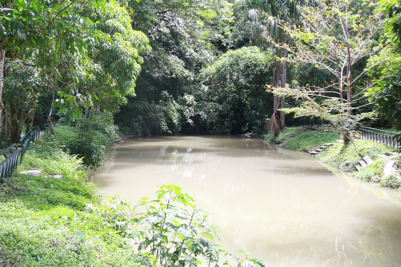 The Huallaga river