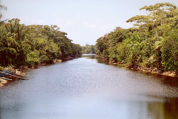 Bonasika Creek, Guyana
