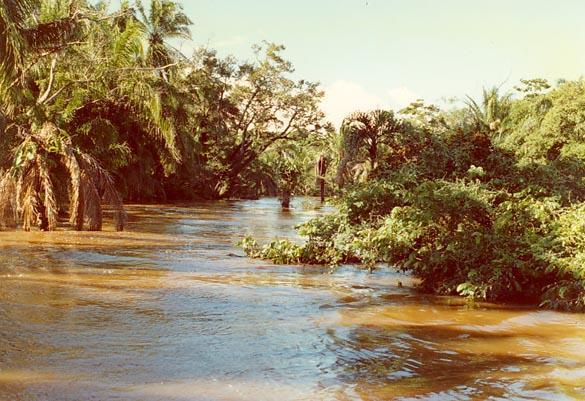 flood stage on the Chane river