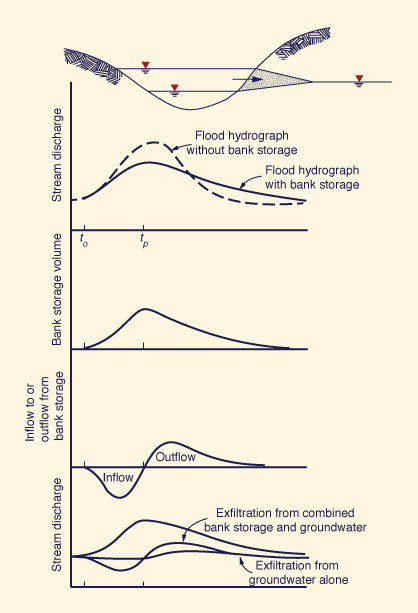 Effect of bank storage on flood hydrograph magnitude and shape