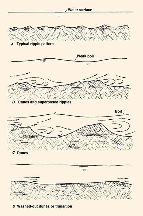 Forms of bed roughness in alluvial channel