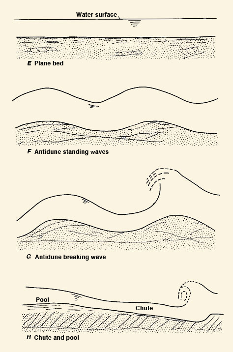 Forms of bed roughness in alluvial channel