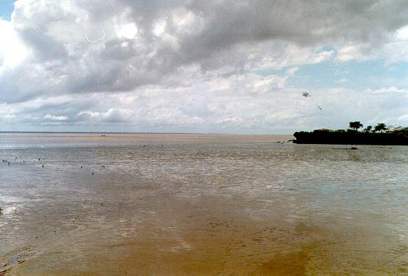 The Amazon river near its mouth, at Macapa, Amapa, Brazil.