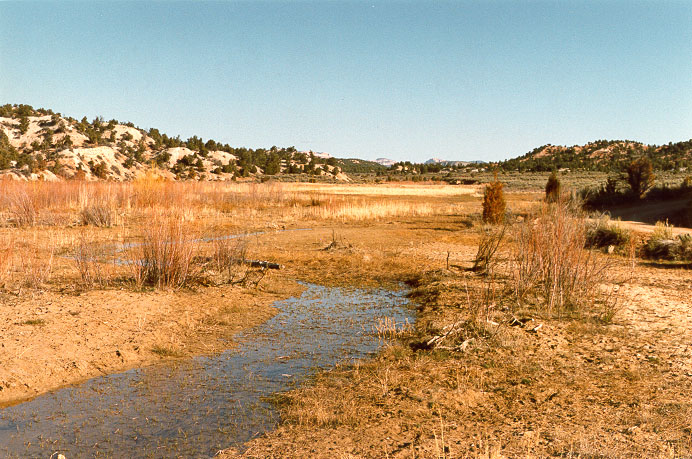 A small stream, or rivulet, upstream of Sheep Creek Barrier reservoir, Utah