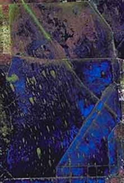 Satellite image of Water Conservation Area 3,Everglades, South Florida