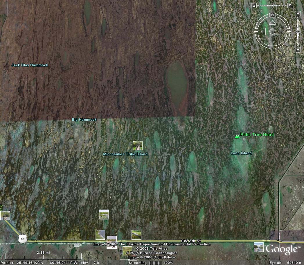 Aerial view of hummocks, Everglades, South Florida