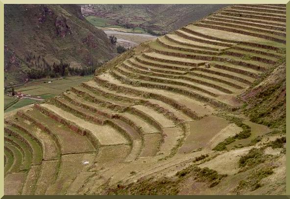 The agricultural terraces at Pisac, Peru.