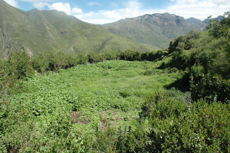 Ancient irrigation reservoir at Japani, in the Santa Eulalia valley, Lima, Peru.