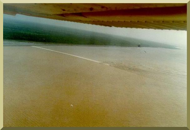 Amazon tidal wave, or pororoca, on the estuary of the Araguari river,Amapa, Brazil, at 8 am,  January 22, 1989. The pororoca coincides with new and full moons, and it is strongest during the equinoctial month