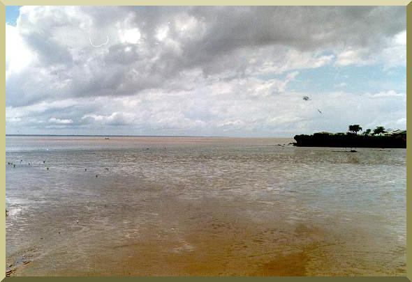 The Amazon river at its mouth in Macapa, Brazil