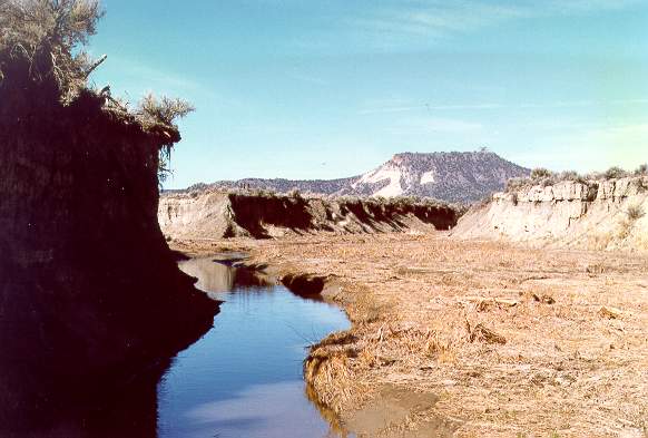 A view of Camp Creek, in eastern Oregon, developed due to overgrazing of the meadow.Since 1968, exclusion of livestock has led to a buildup of the streambed,which continues to date (photo 1989).