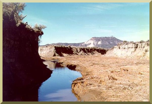 Camp Creek, in eastern Oregon, developed due to overgrazing of the meadow (1989).