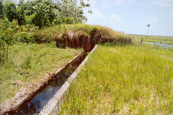 Right abutment of 8,000-ft spillway, Boeraserie Conservancy, Guyana