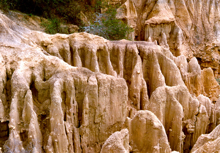 Landscape erosion between Samaipata and San Juan del Rosario, Pirai river basin,Santa Cruz department, Bolivia, June 1989.