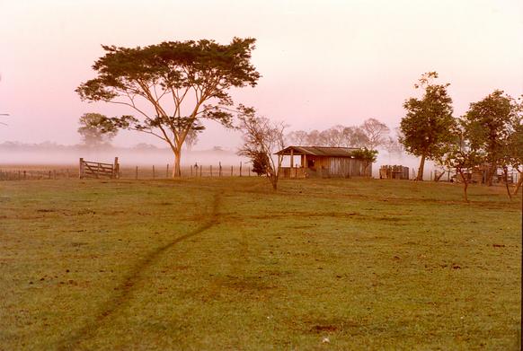 Dawn at the Pantanal of Mato Grosso, near the Rio Cassanges, Mato Grosso, Brazil (1991). 