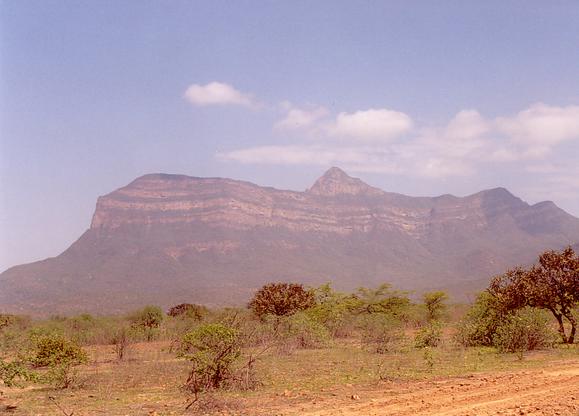 Cerro Chaparr, at Chaparr Ecological Reserve, near Chongoyape, Chiclayo, Peru. 