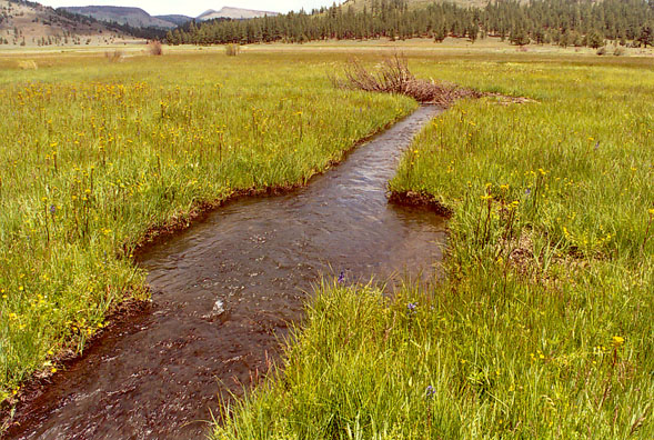Fish-passage channel at restored Ferris Creek, in Plumas County, California
