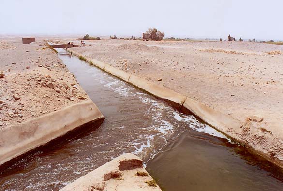 Junction of La Joya Canal (left) with main agricultural drain 