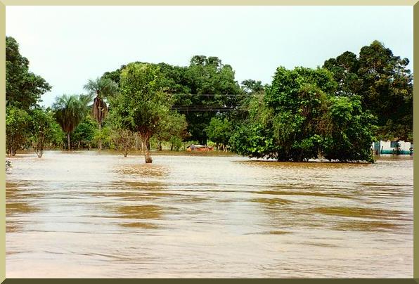 Flood stage on the Cuiaba river, Mato Grosso, Brazil, on January 10, 1995