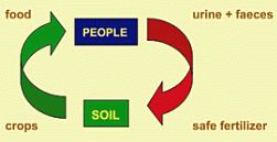 picture of a generalized carbon cycle: Safe Fertilizer added to SOIL creates Crops used as Food for PEOPLE who excrete Urine+Faeces which can again be used as Safe Fertilizer ... 