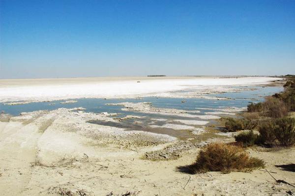 South evaporation pond, 
Tulare Lake Basin, California