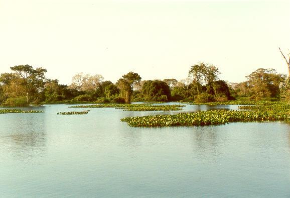 Upper Paraguay river