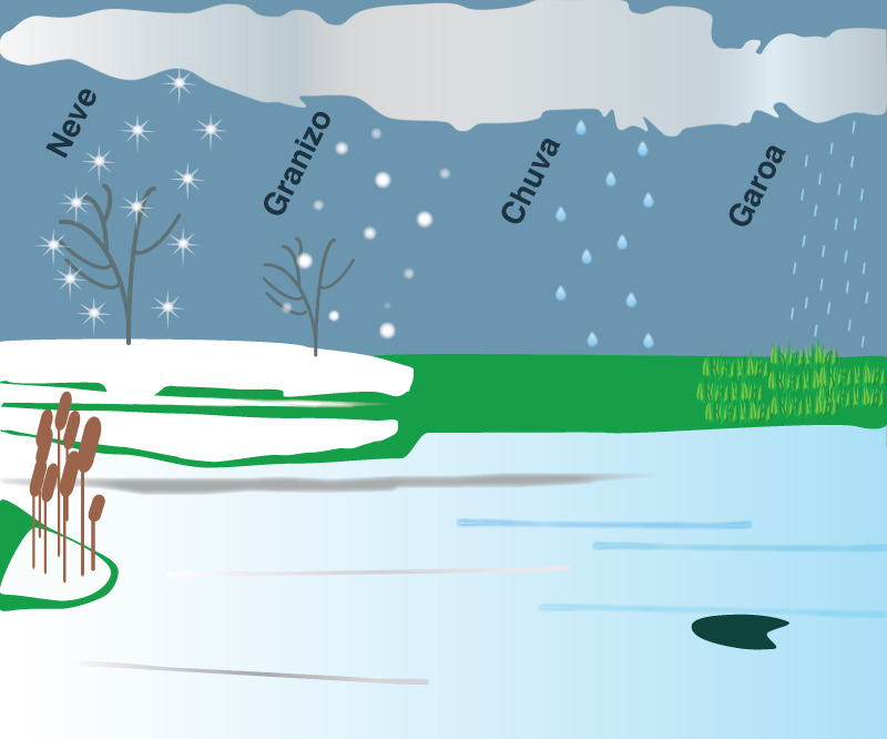 forms of precipitation