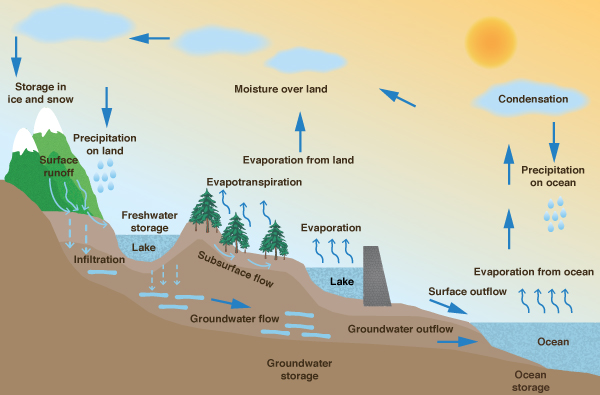 The hydrologic cycle