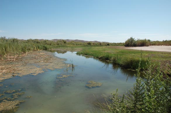 Gila river, Arizona