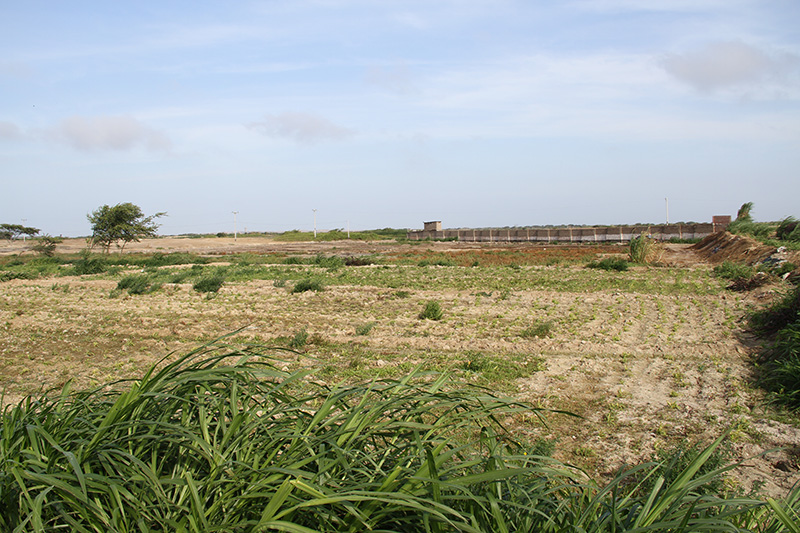 Rancho de German Mori.