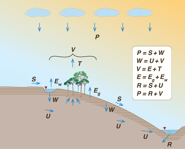 L'vovich's water balance.