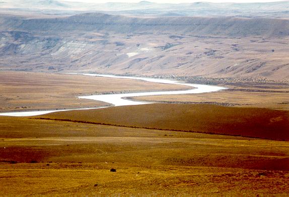 Tundra landscape in the valley of the Santa Cruz river,
Patagonia, Argentina.