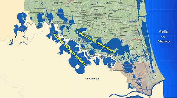 Subsistemas de agua dulce y salada en el sistema 
lagunario del río Tamesí.