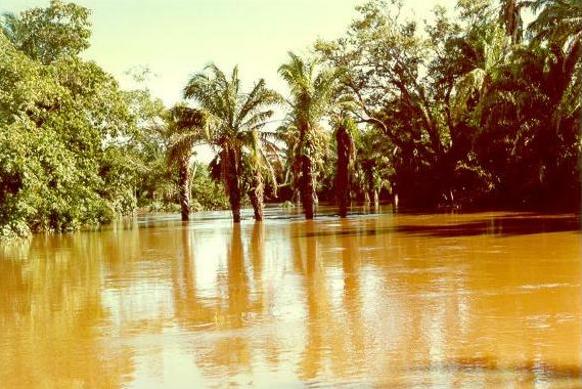 ;Una sección transversal de un canal de alto nivel de inundación, <br>con un gran valor de coeficiente de Boussinesq <I>β</i>.