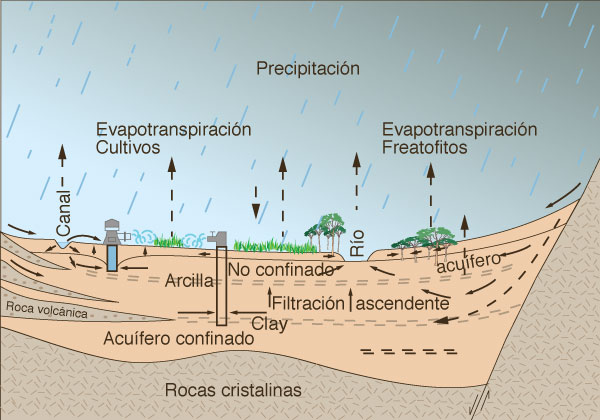 Groundwater flow through an unconfined acquifer, a confined aquifer,<br>and a poorly permeable clay layer separating them