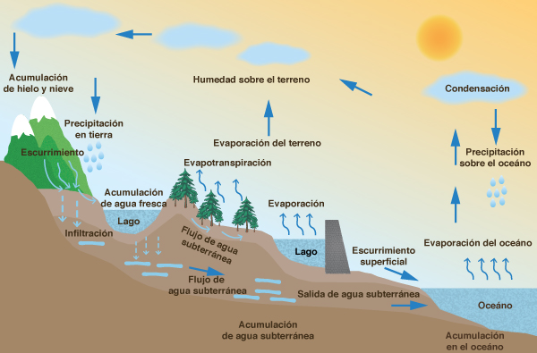 el ciclo hidrologico